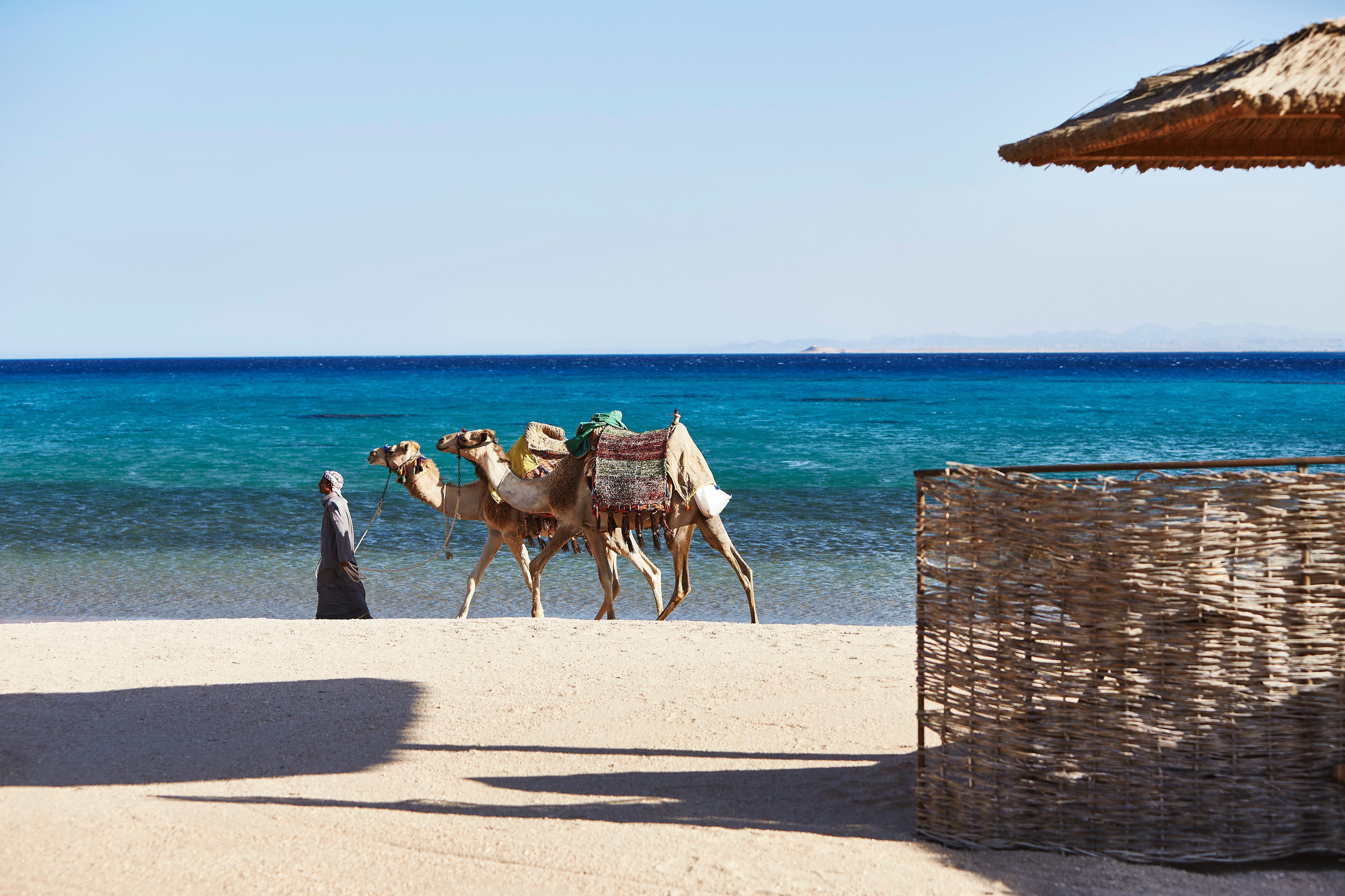 Kempinski Hotel Soma Bay Exterior photo A beach in Marsa Alam