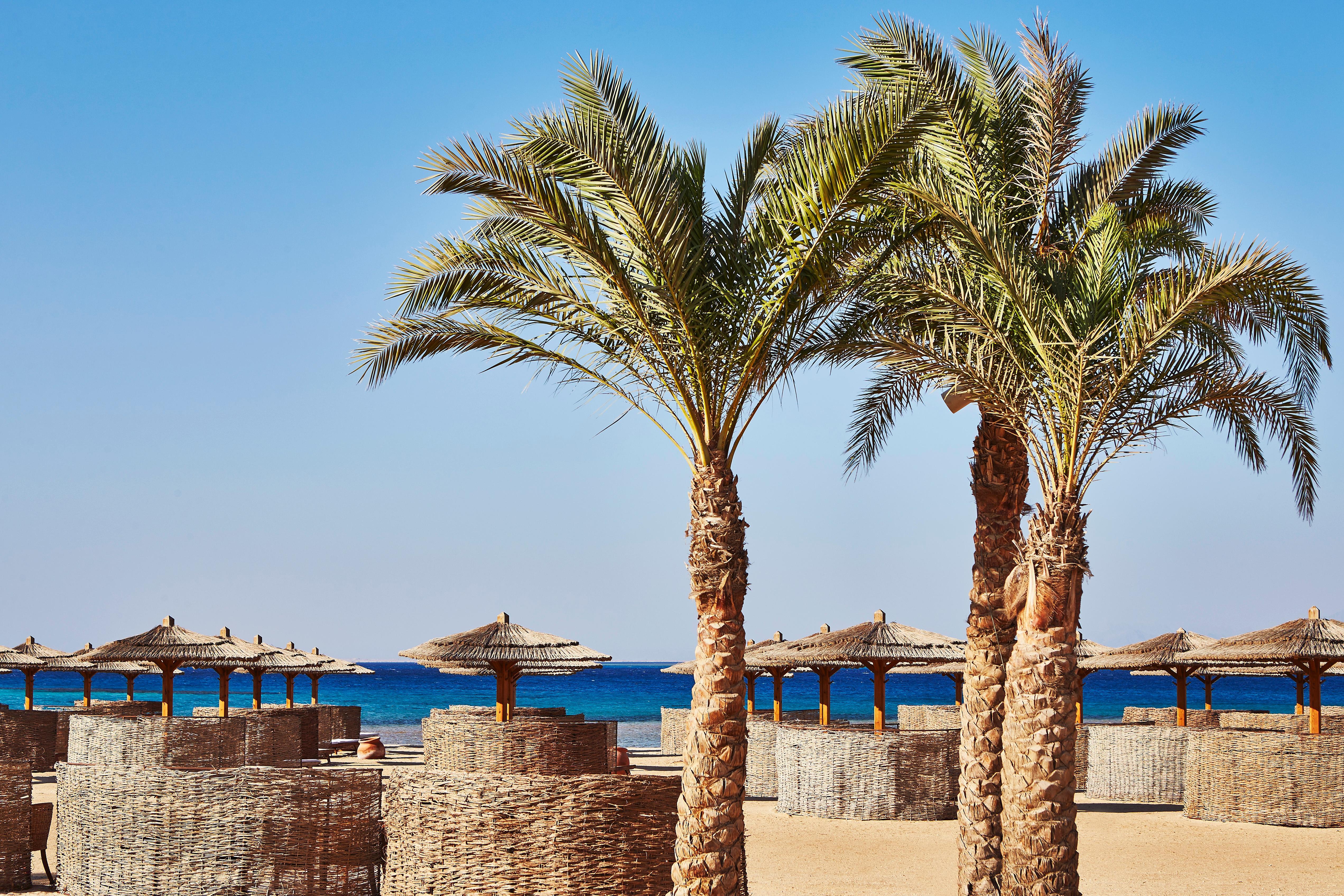 Kempinski Hotel Soma Bay Exterior photo Palm trees on the beach of the Red Sea
